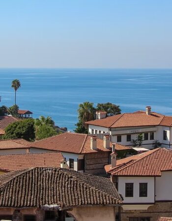 Wemy Realtor real estate