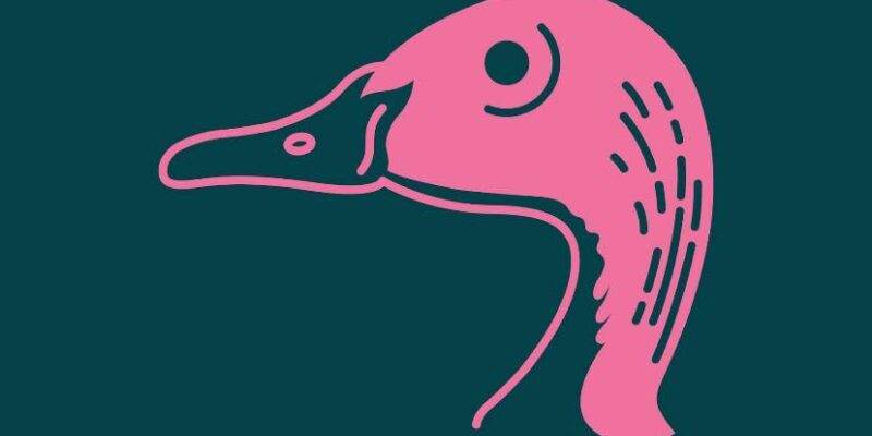 Pink Headed Duck Coffee