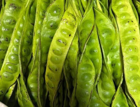 Phyu Asian Grocery