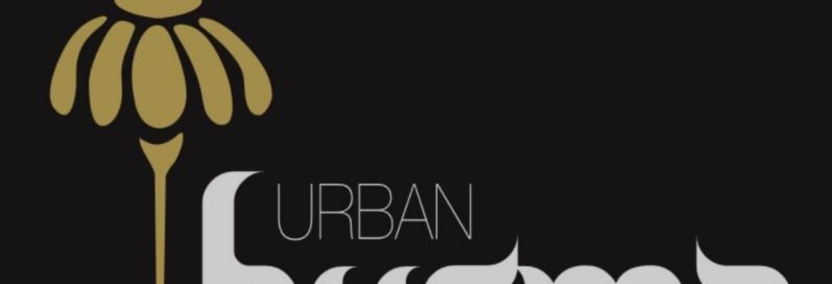 Urban Burma